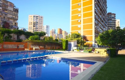 Study - Resale - Benidorm -
                Levante