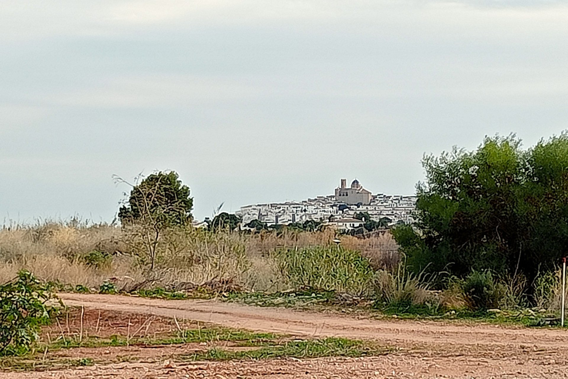 SUELO - RÚSTICO - EN ALTEA