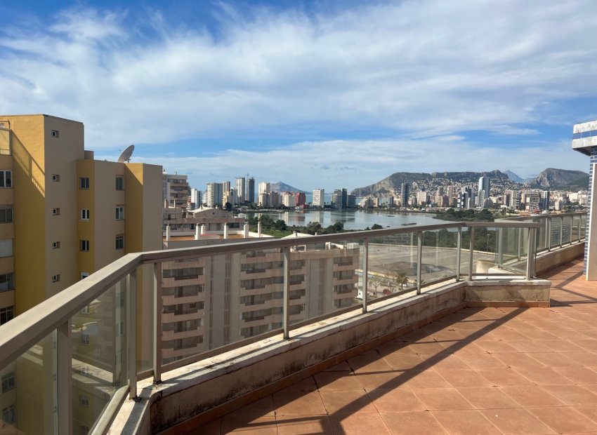 Terraza - Piso en Calpe (Playas - Costa Blanca)