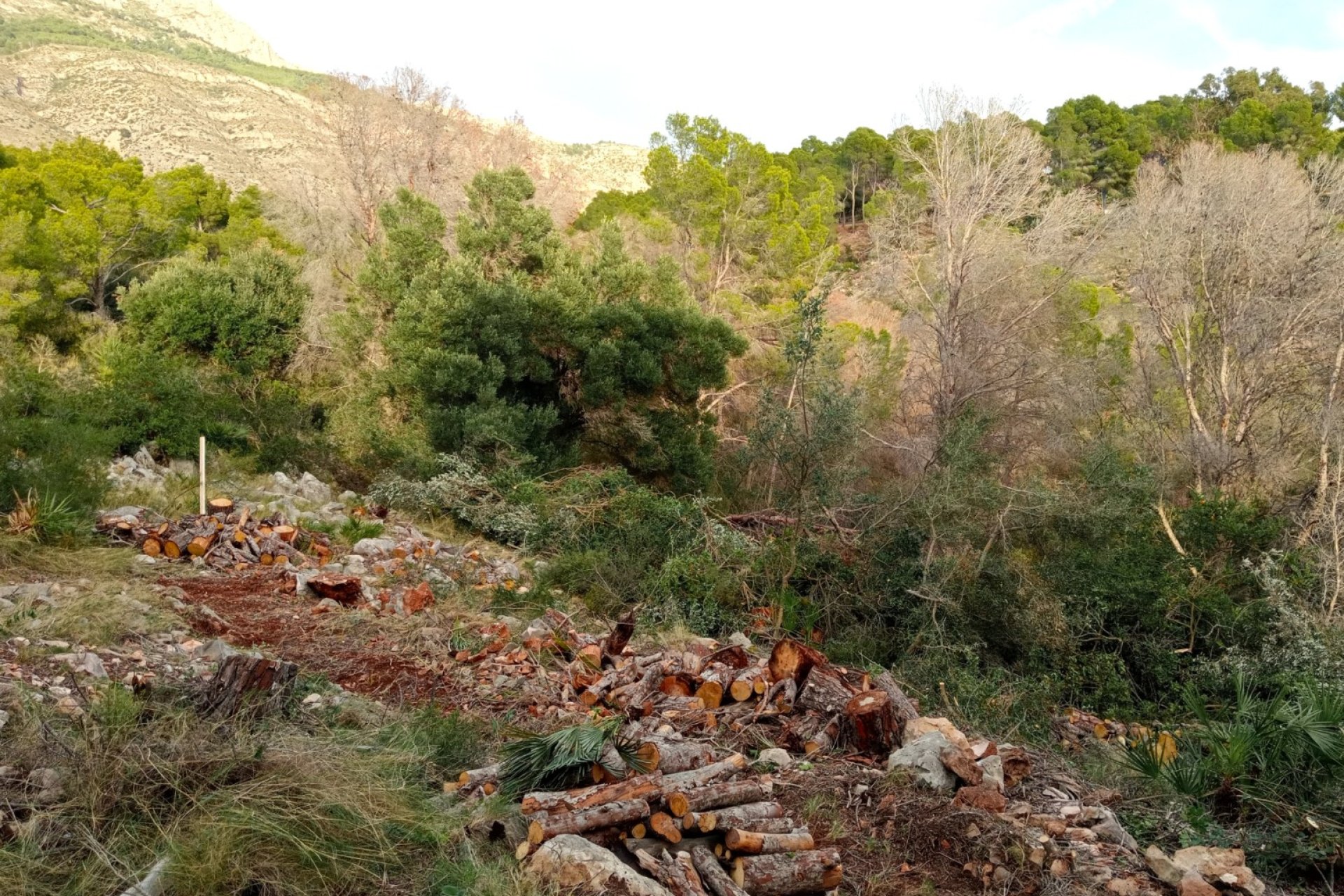 TERRENO URBANO RESIDENCIAL EN ALTEA