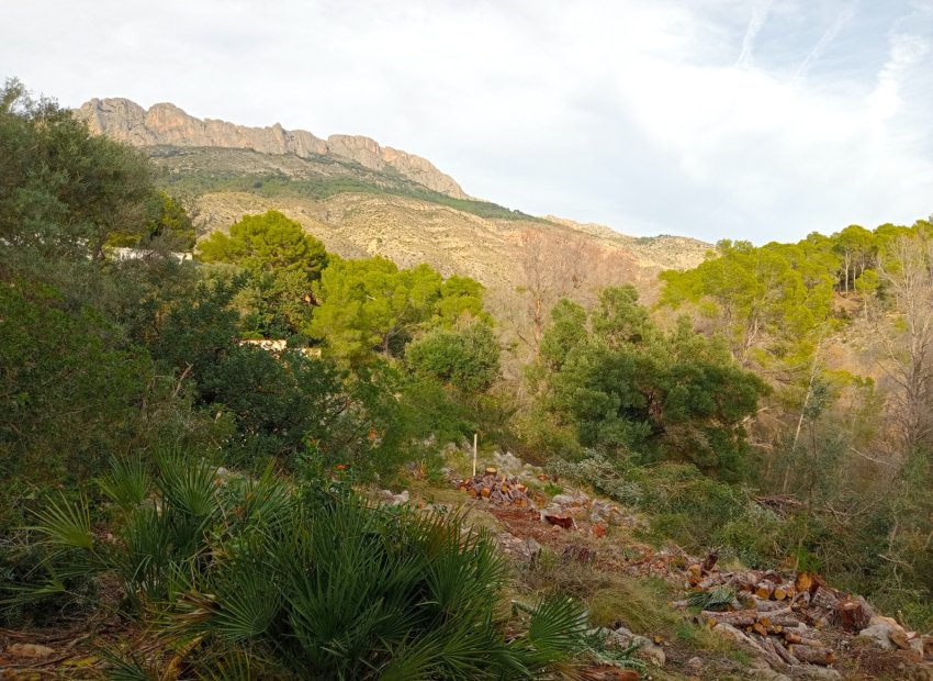 TERRENO URBANO RESIDENCIAL EN ALTEA