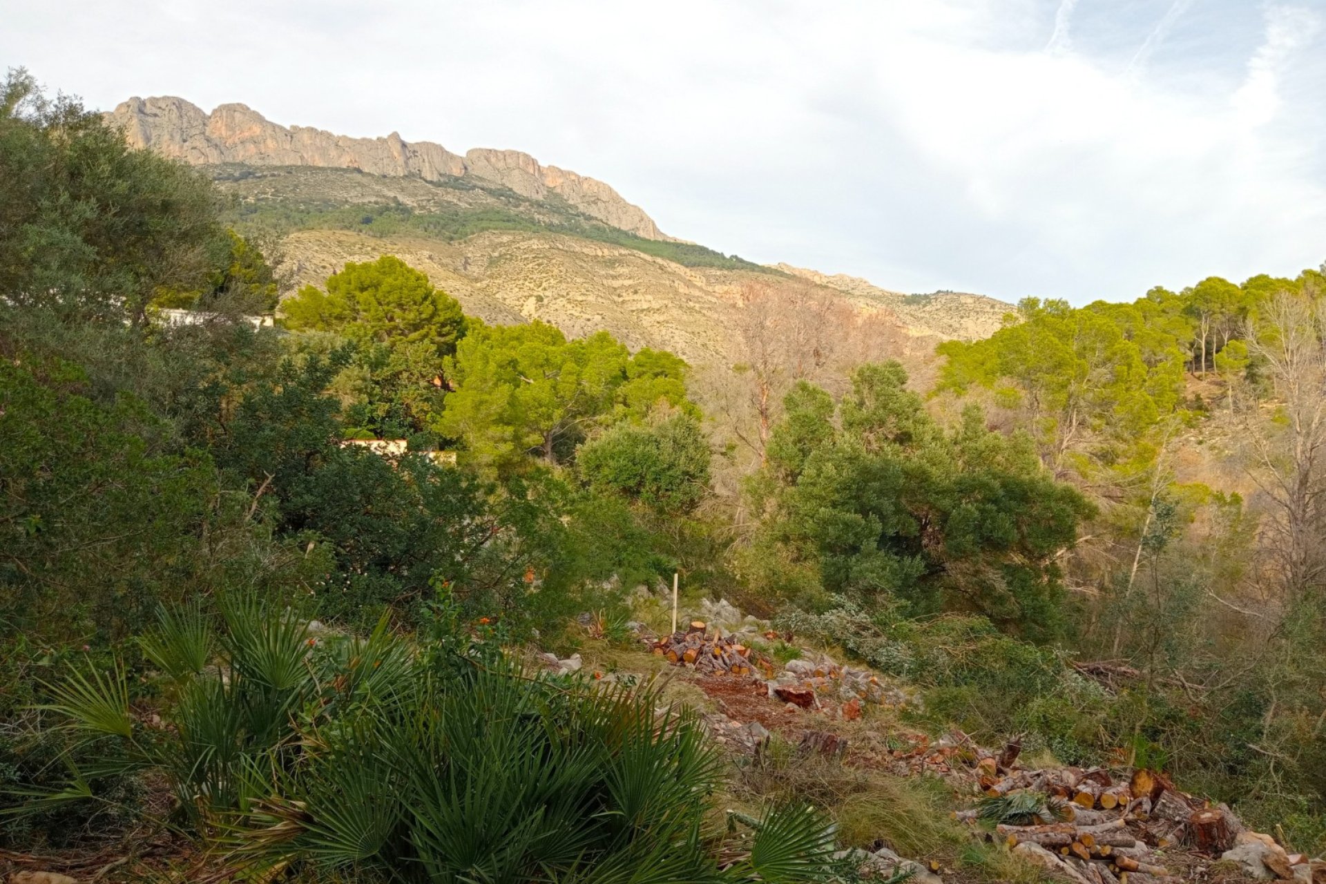 TERRENO URBANO RESIDENCIAL EN ALTEA