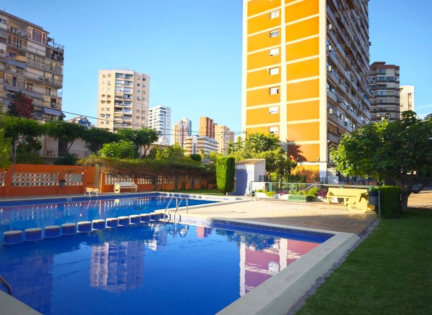 Urbanización - Estudio moderno en Benidorm (Costablanca - Alicante)