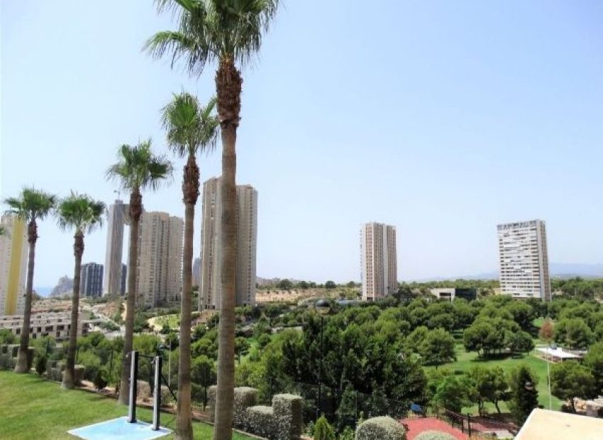 Vistas - Piso con urbanización con piscina en Benidorm Poniente (Costablanca - Alicante)