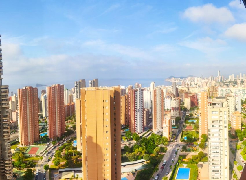 Vistas - Piso en Benidorm con piscina (Benidorm - Alicante - Costa Blanca)