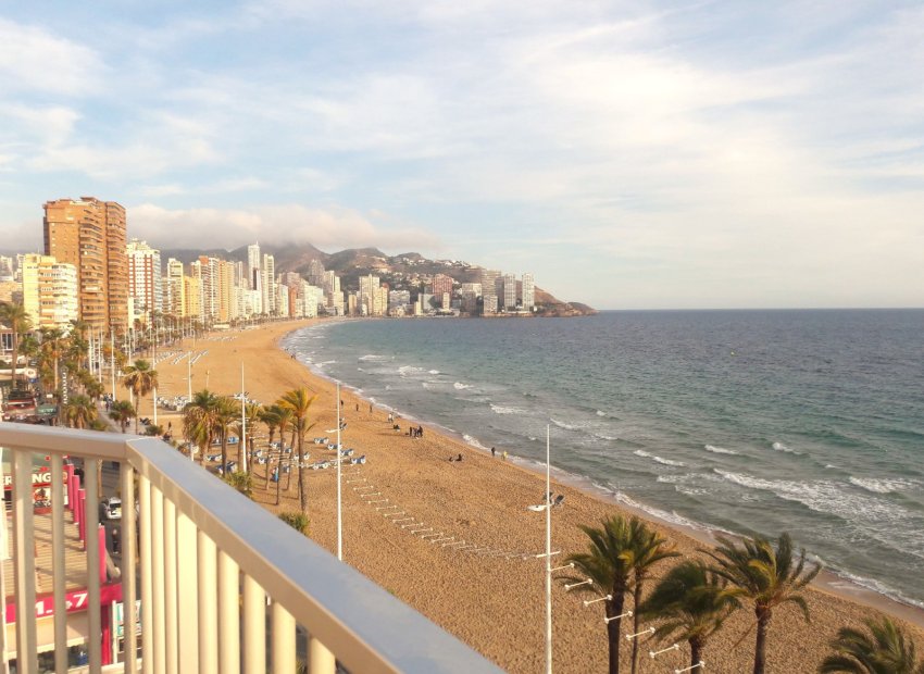 Vistas - Piso en Benidorm primera linea de playa (Alicante - Costablanca)