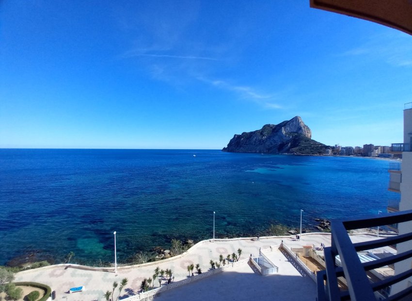 Vistas Terraza