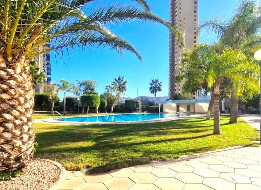 Wiederverkauf - Wohnung -
Benidorm - Levante