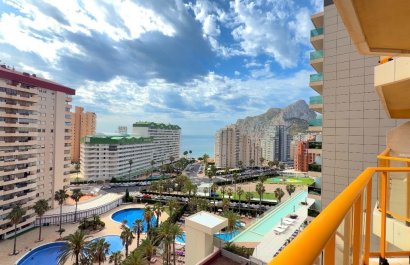 Wohnung - Wiederverkauf - Calpe -
                Zona Levante - Playa Fossa