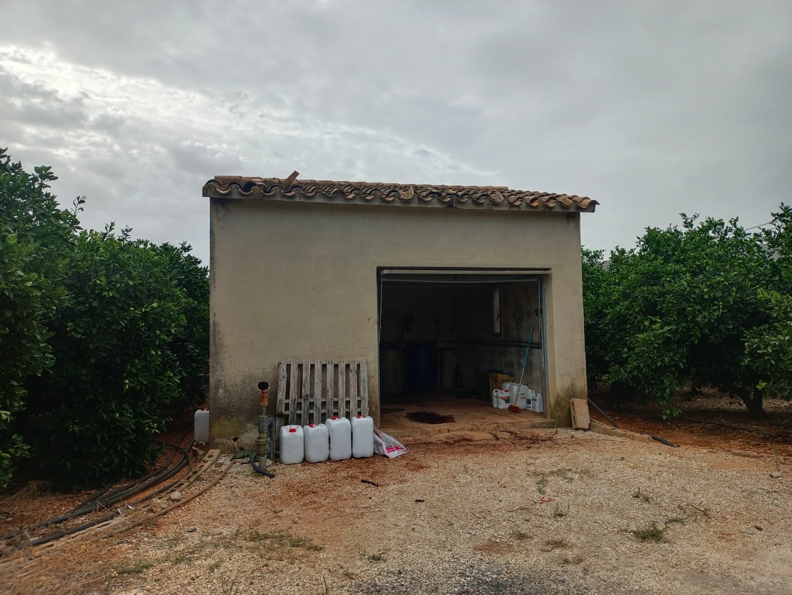 Venta. terrain en Pedreguer