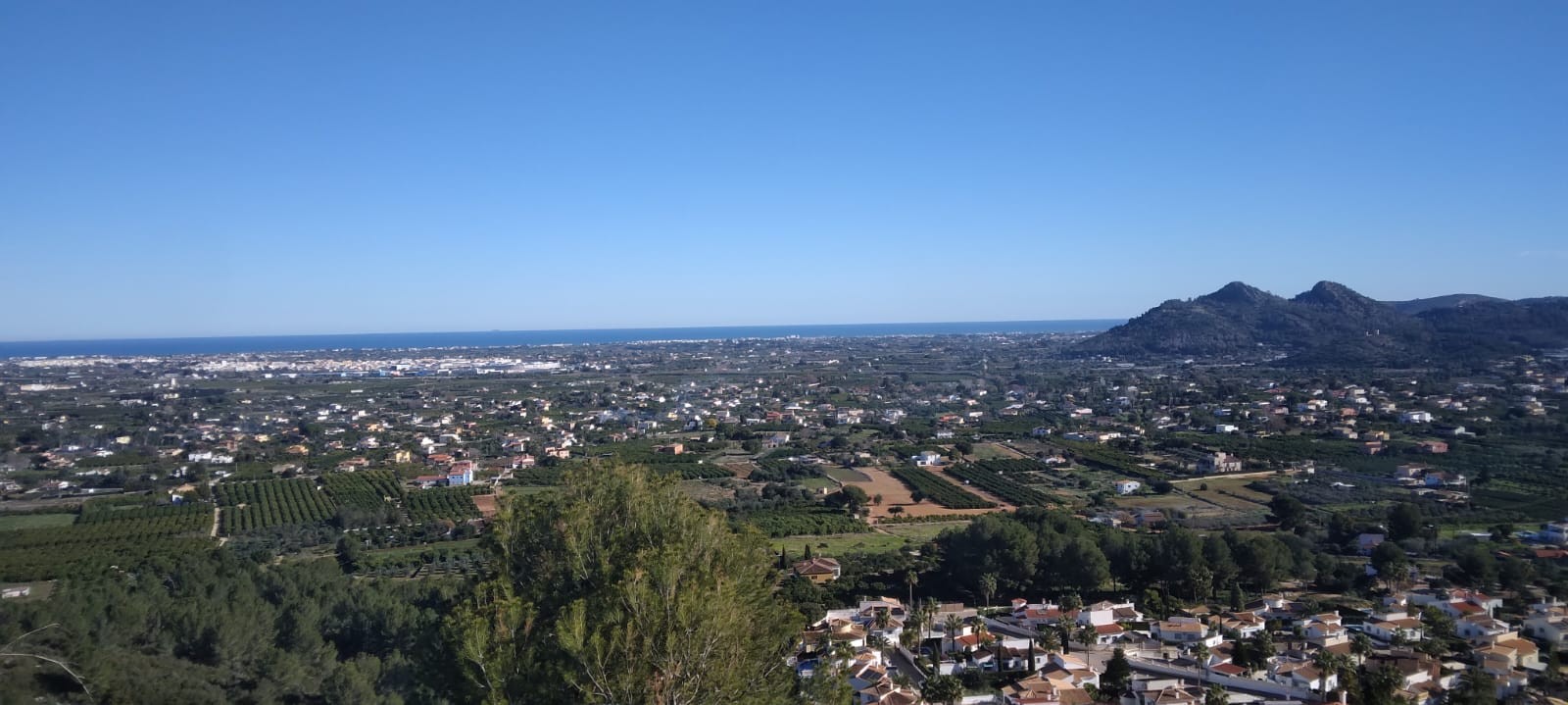 Venta. terrain en Pedreguer