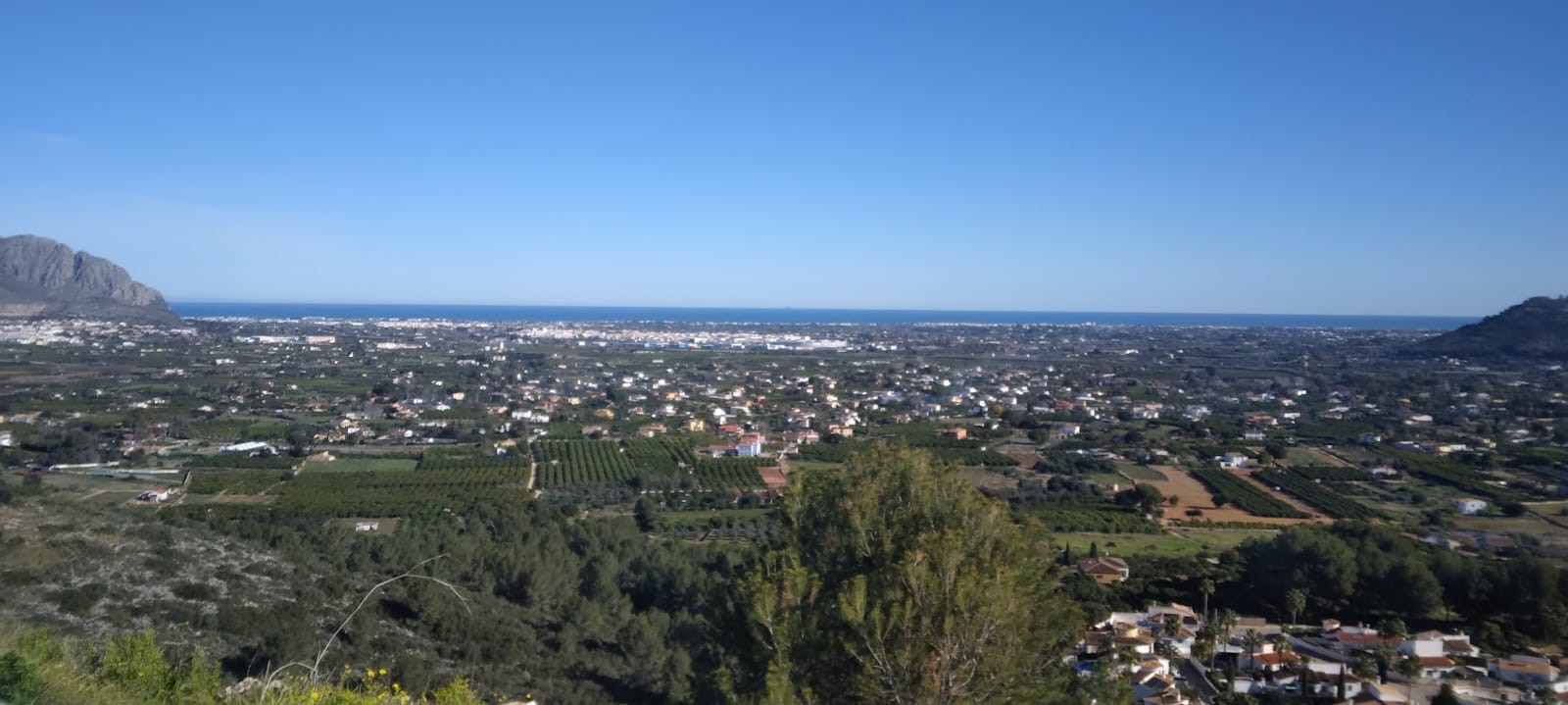 Venta. terrain en Pedreguer