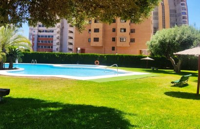 Segunda mano - Apartamento / piso -
Benidorm - Zona de Poniente