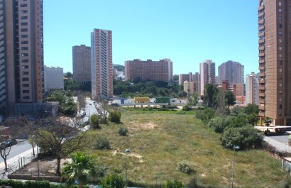 Segunda mano - Apartamento / piso -
Benidorm - Zona de Poniente