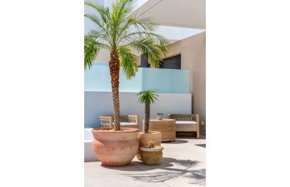 Obra nueva - Villa / Semi pareado -
Dolores