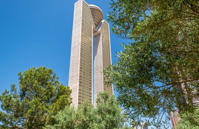 Obra nueva - Apartamento / piso -
Benidorm - Zona de Poniente