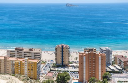Obra nueva - Apartamento / piso -
Benidorm - Zona de Poniente