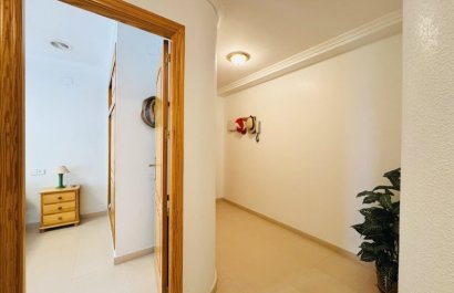 Segunda mano - Apartamento / piso -
Torrevieja - Torrelamata - La Mata