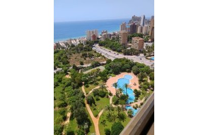 Segunda mano - Apartamento / piso -
Benidorm - Levante