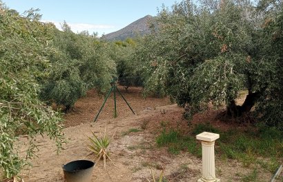 EN VENTA TERRENO RÚSTICO AGRARIO