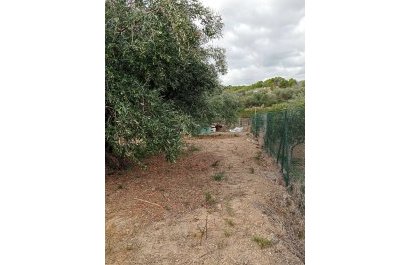 Segunda mano - Parcela / Terreno -
La Nucía