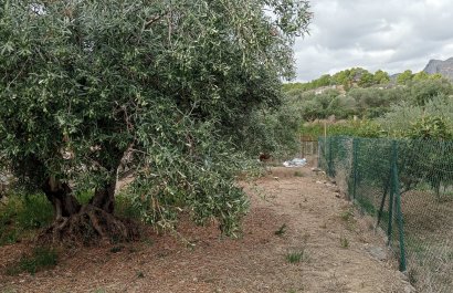 Segunda mano - Parcela / Terreno -
La Nucía
