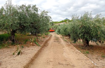 Segunda mano - Parcela / Terreno -
La Nucía