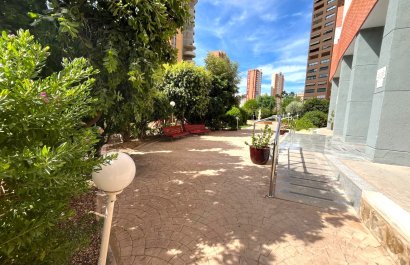 Segunda mano - Apartamento / piso -
Benidorm - Centro