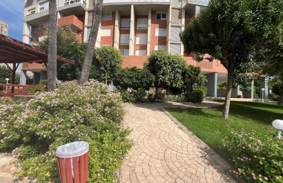 Segunda mano - Apartamento / piso -
Benidorm - Centro