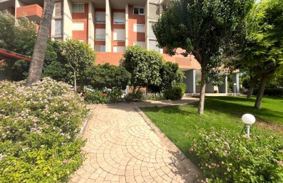 Segunda mano - Apartamento / piso -
Benidorm - Centro