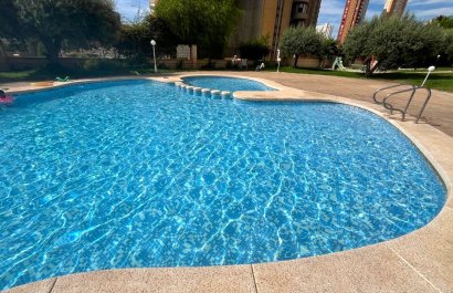 Segunda mano - Apartamento / piso -
Benidorm - Centro