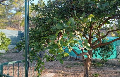 Segunda mano - Casa  -
La Nucía