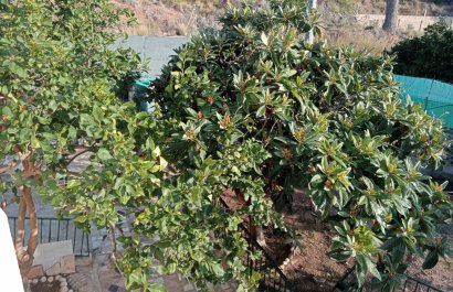 Segunda mano - Casa  -
La Nucía