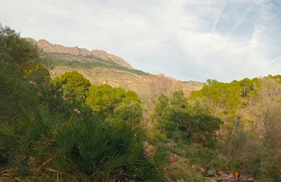 Segunda mano - Parcela / Terreno -
Altea