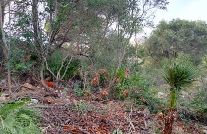 Segunda mano - Parcela / Terreno -
Altea