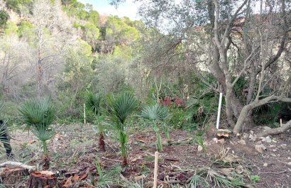 Segunda mano - Parcela / Terreno -
Altea