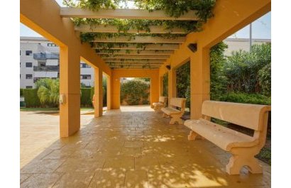 Segunda mano - Apartamento / piso -
Denia - Port