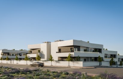 Rynek Pierwotny - Kamienica -
San Miguel de Salinas