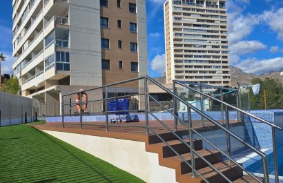 Segunda mano - Apartamento / piso -
Benidorm - Zona de Poniente