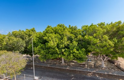 New Build - Villa -
Pilar de la Horadada - Playa de Mil Palmeras