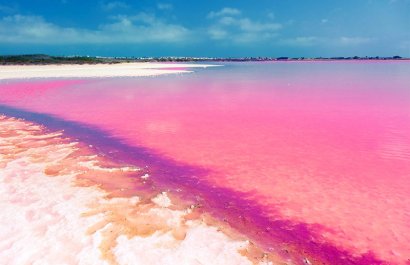 Obra nueva - Apartamento / piso -
Torrevieja - Nueva Torrevieja - Aguas Nuevas