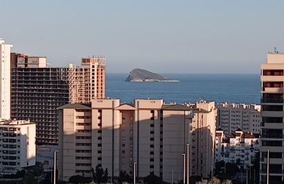 Obra nueva - Apartamento / piso -
Villajoyosa - Cala de Villajoyosa