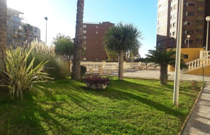 Segunda mano - Apartamento / piso -
Benidorm - Zona de Poniente