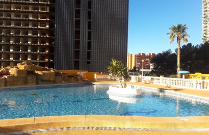 Segunda mano - Apartamento / piso -
Benidorm - Zona de Poniente