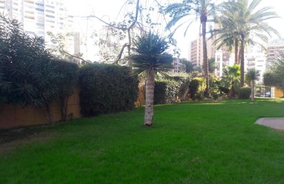 Segunda mano - Apartamento / piso -
Benidorm - Zona de Poniente