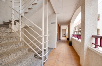 Obra nueva - Apartamento / piso -
San Fulgencio