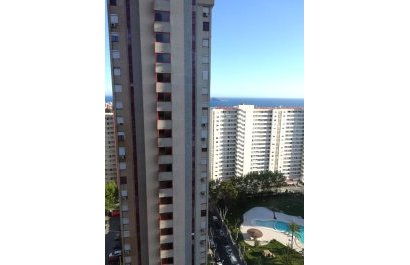 Segunda mano - Apartamento / piso -
Benidorm - Zona de Poniente