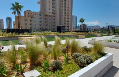 Obra nueva - Ático -
Calpe - Zona Playa del Bol - Puerto
