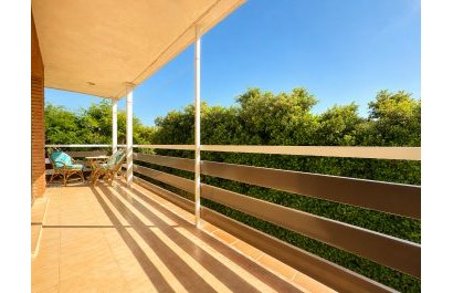 Segunda mano - Apartamento / piso -
Denia - Las Rotas - Les Rotes