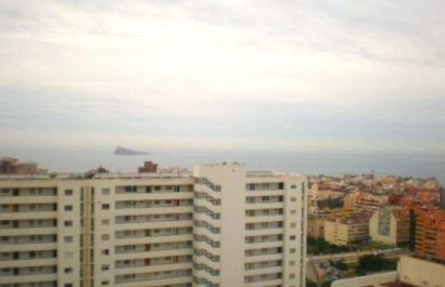 Segunda mano - Apartamento / piso -
Benidorm - Zona de Poniente